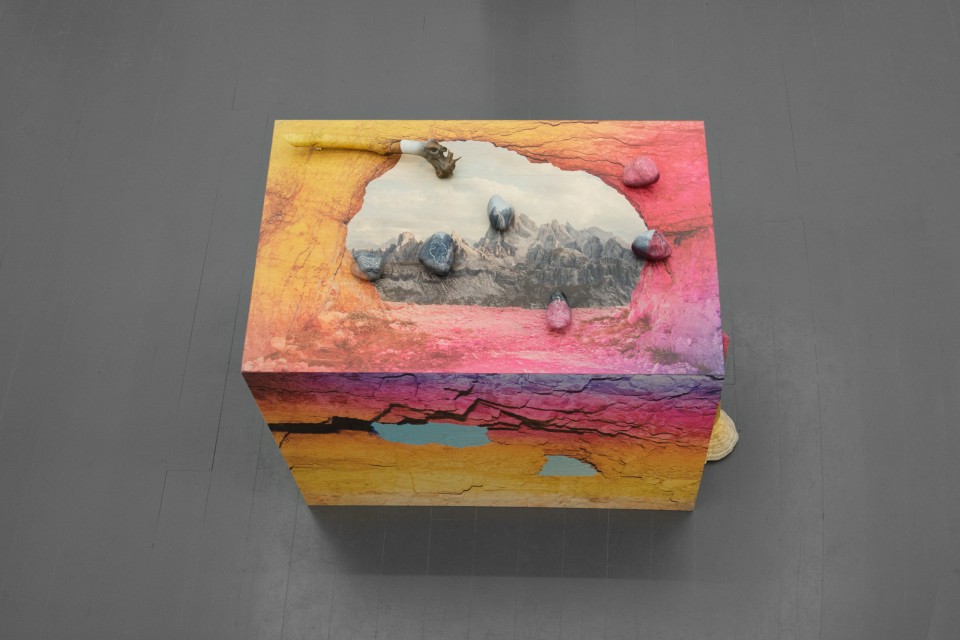 Adaptive Colorations I, 2016. Printed wood, bransch, stone, polypore, clay, plaster and pigment.