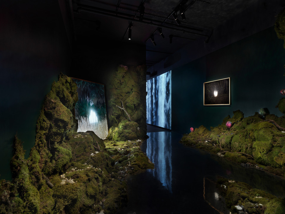 Human/Nature – Encountering Ourselves in the Natural World, Fotografiska, New York, USA, 2024.