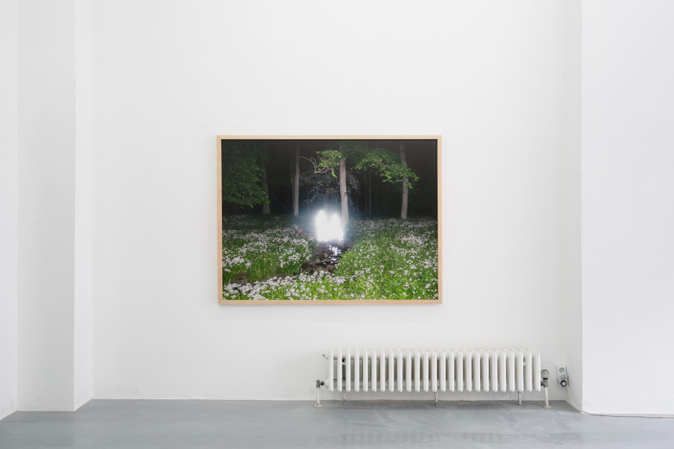 Luminous Matter, Dorothée Nilsson Gallery, Berlin, 2021