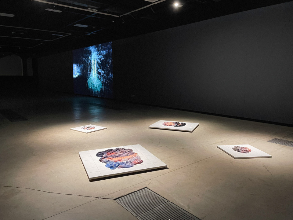 ‘Zoom In: Ecology’, Riga Photography Biennial, Riga Contemporary Art Space, Latvia, 2026